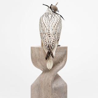 Waker (FALCON PERCH)