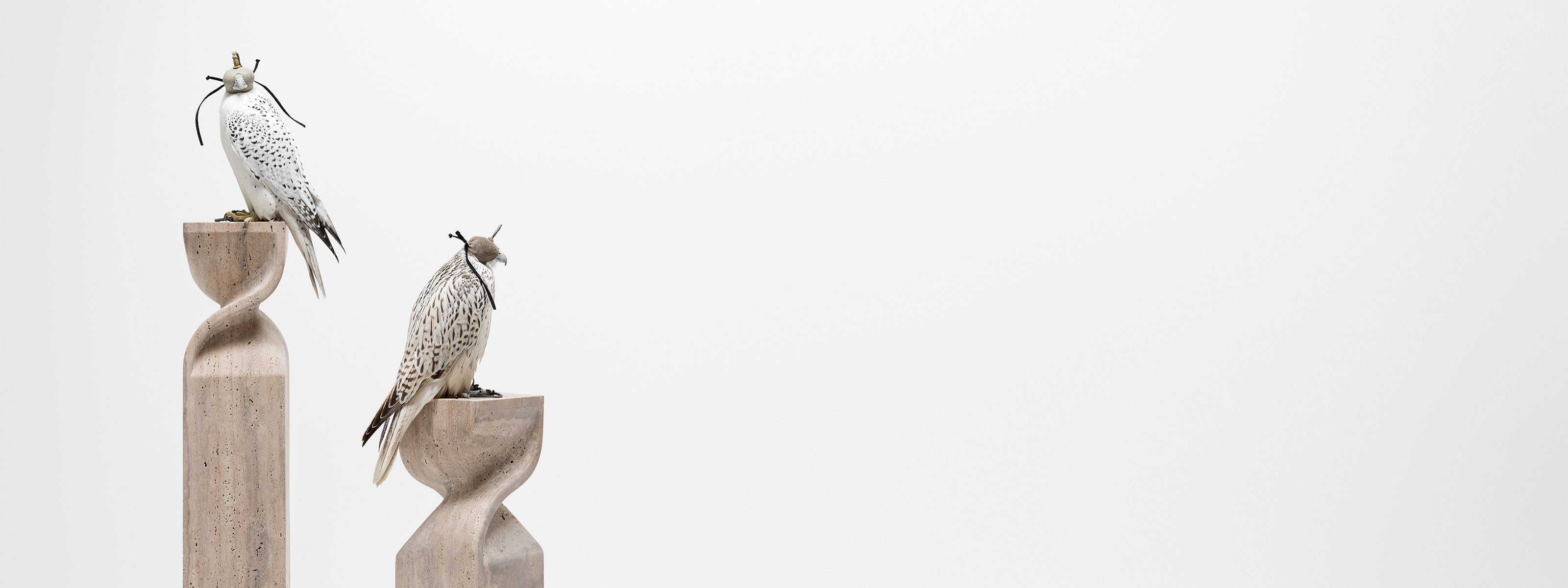 HP-banner-v1